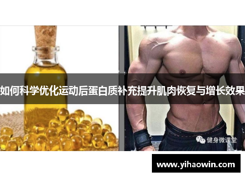 如何科学优化运动后蛋白质补充提升肌肉恢复与增长效果