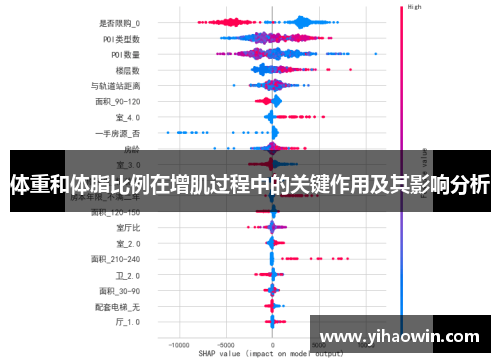 体重和体脂比例在增肌过程中的关键作用及其影响分析