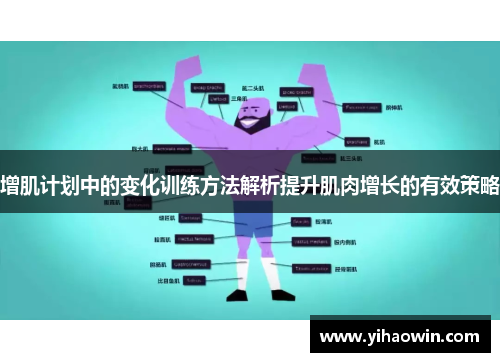 增肌计划中的变化训练方法解析提升肌肉增长的有效策略