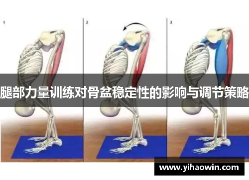 腿部力量训练对骨盆稳定性的影响与调节策略